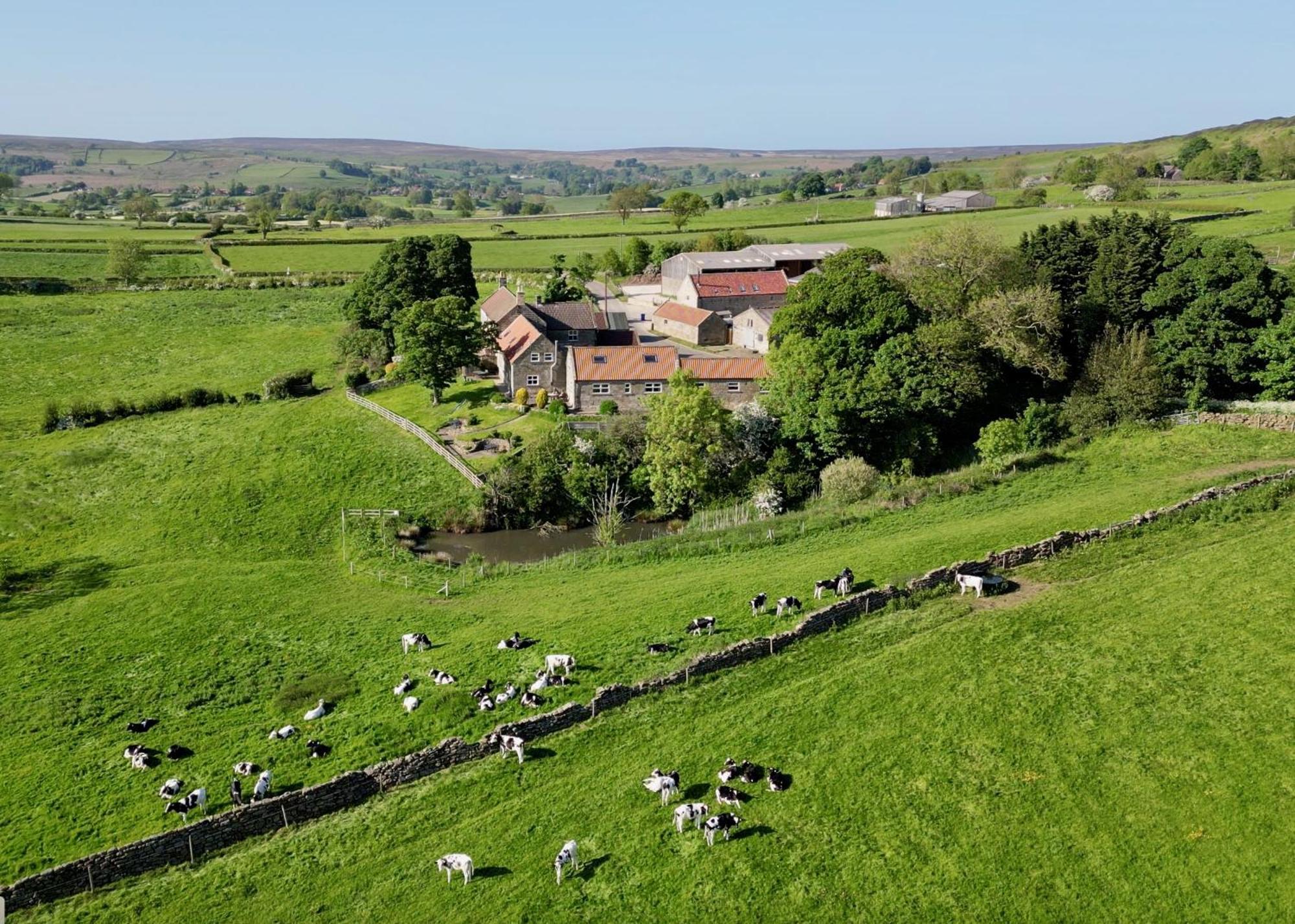 Church House Farm Danby Eksteriør billede